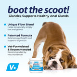 Vetnique Labs Glandex Anal Gland Supplement Chews for Dogs with Pumpkin 30 Count