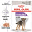 Royal Canin Adult Sterilised Loaf Wet Dog Food