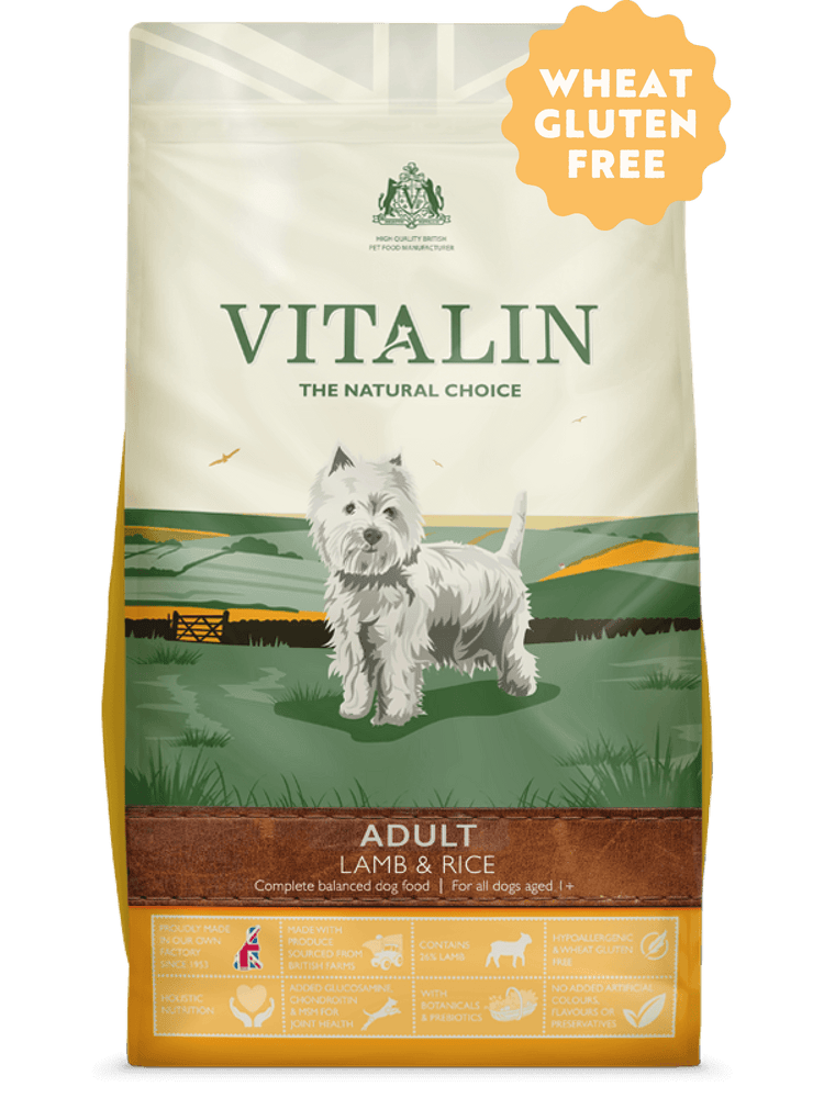 Vitalin Adult Lamb & Rice Gluten Free Dry Dog Food