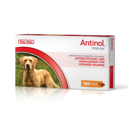 Antinol Natural Joint Supplement for Dogs