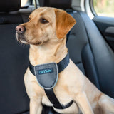 CarSafe Dog Car Harness