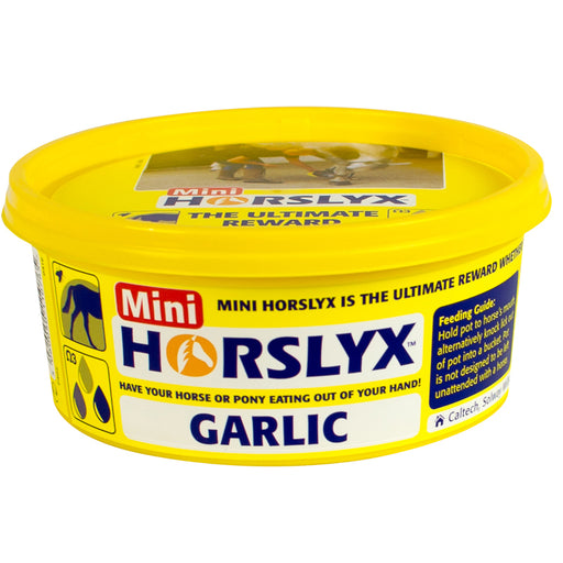 Horslyx Mini Garlic Balancer Equine Supplement 650g