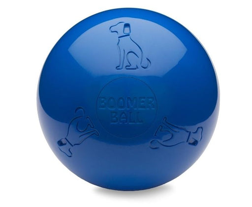 Company of Animals Boomer Ball Dog Toy 10" (250mm)