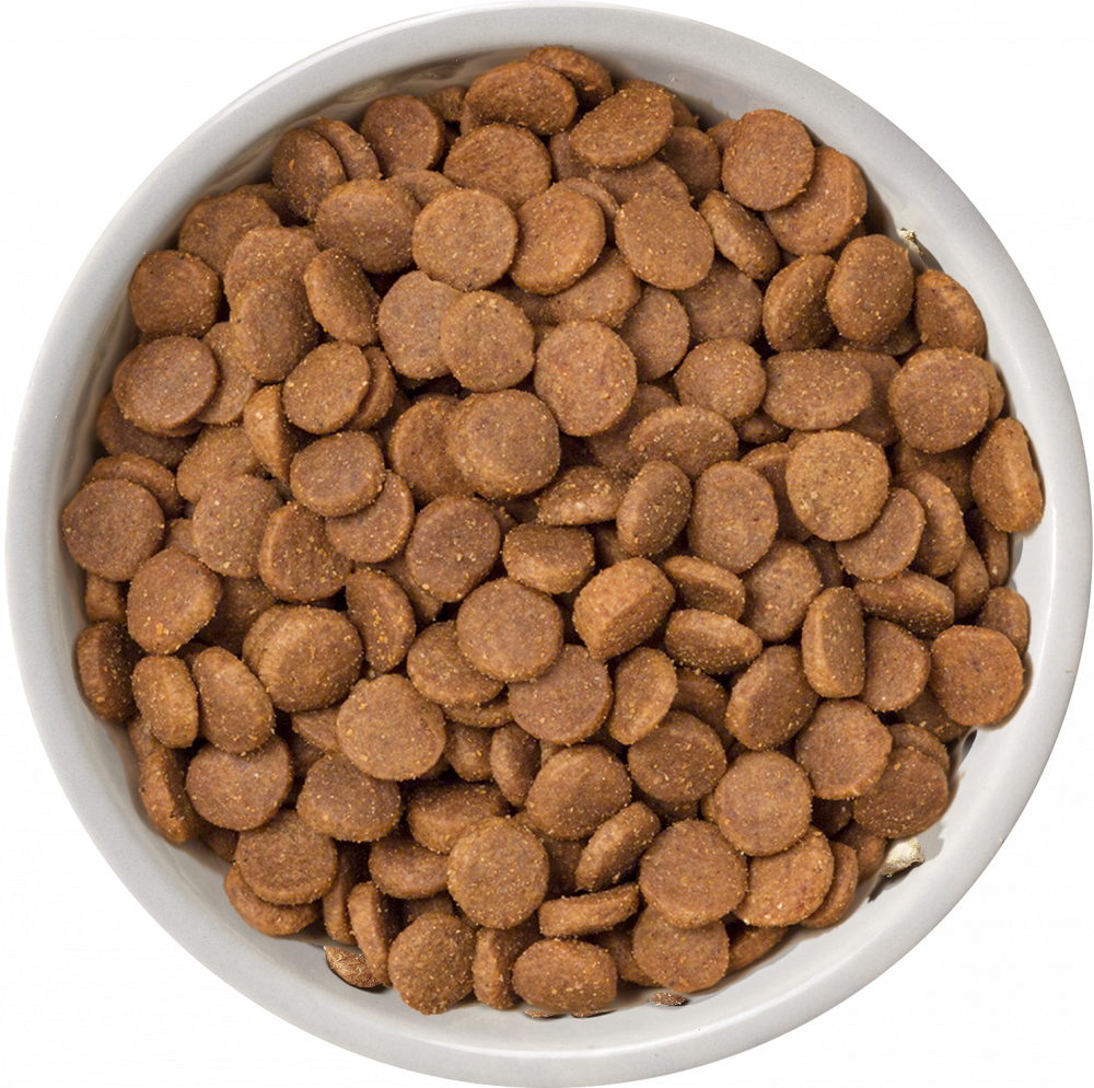 Nature's Variety Selected Free Range Chicken Puppy Dry Dog Food 10kg