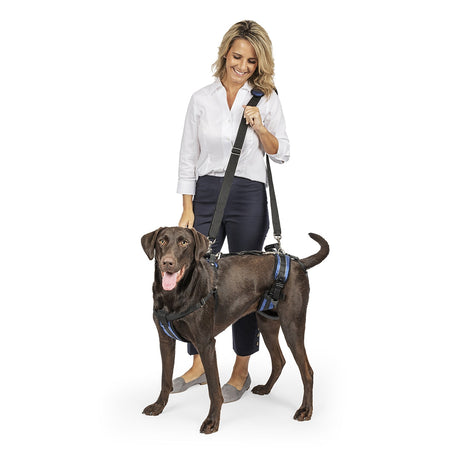 Petsafe CareLift Support Dog Harness
