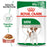 Royal Canin Adult Mini Chunks In Gravy Wet Dog Food
