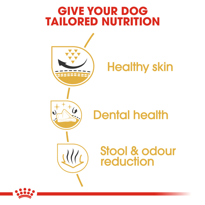 Royal Canin Adult Shih Tzu Dry Dog Food
